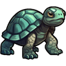 Shelly